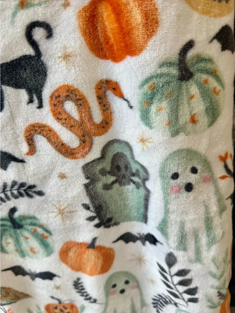 Cupcake & Cashmere Halloween Throw Blanket Pumpkins Cats Snakes Ghosts Moon NWT